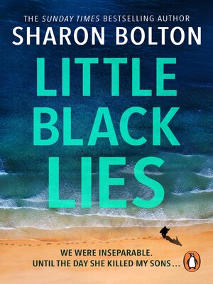 Little Black Lies - ebook